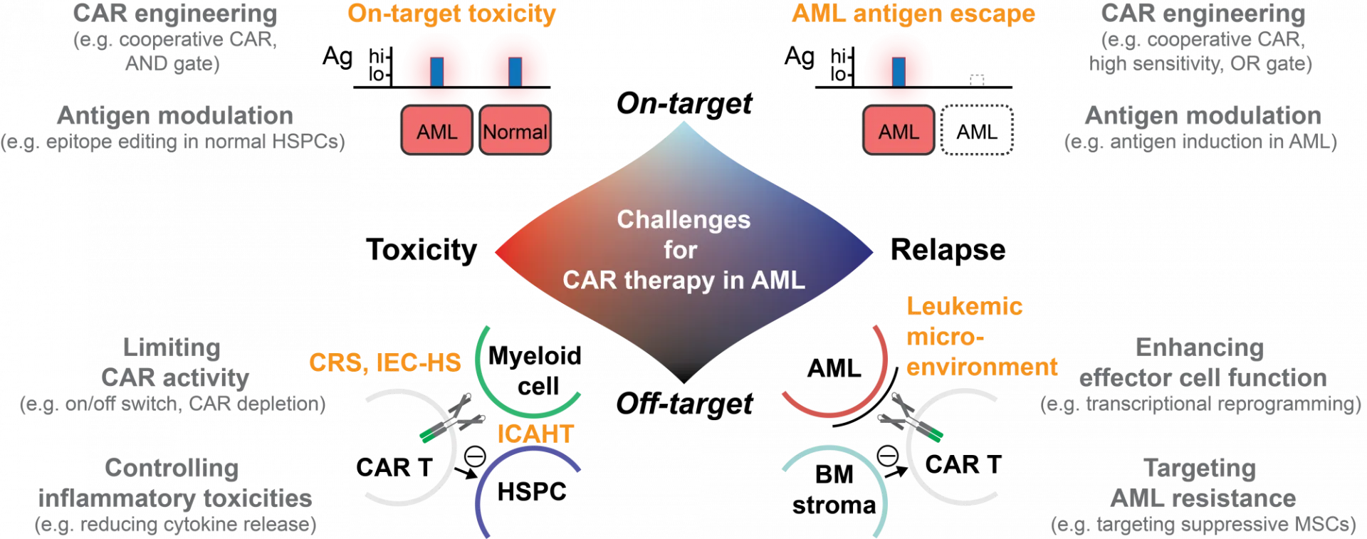 Challenges for CAR therapy in AML