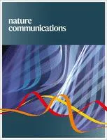 NC cover