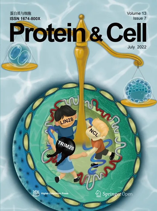 Protein&Cell