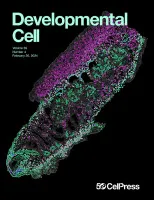 Dev Cell 